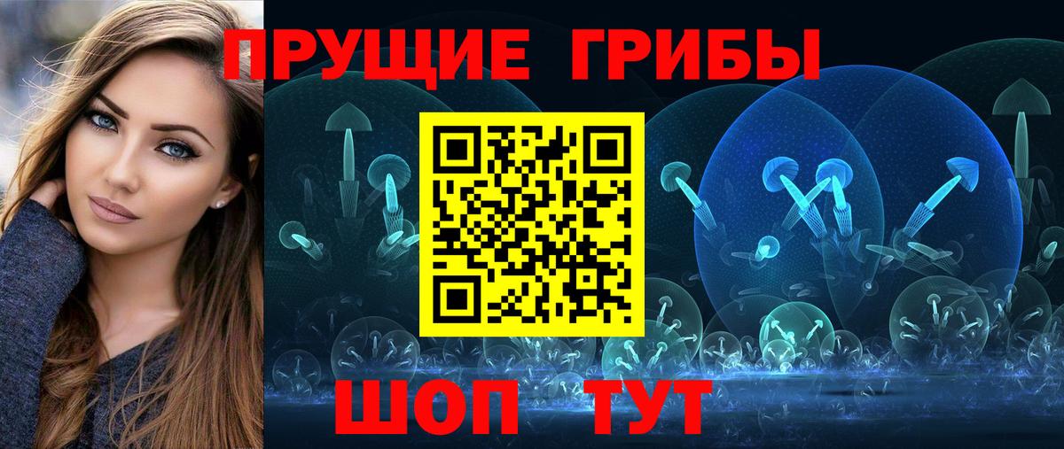 Мытищи  Псилоцибиновые грибы GOLDEN TEACHER  Вход с VPN 
