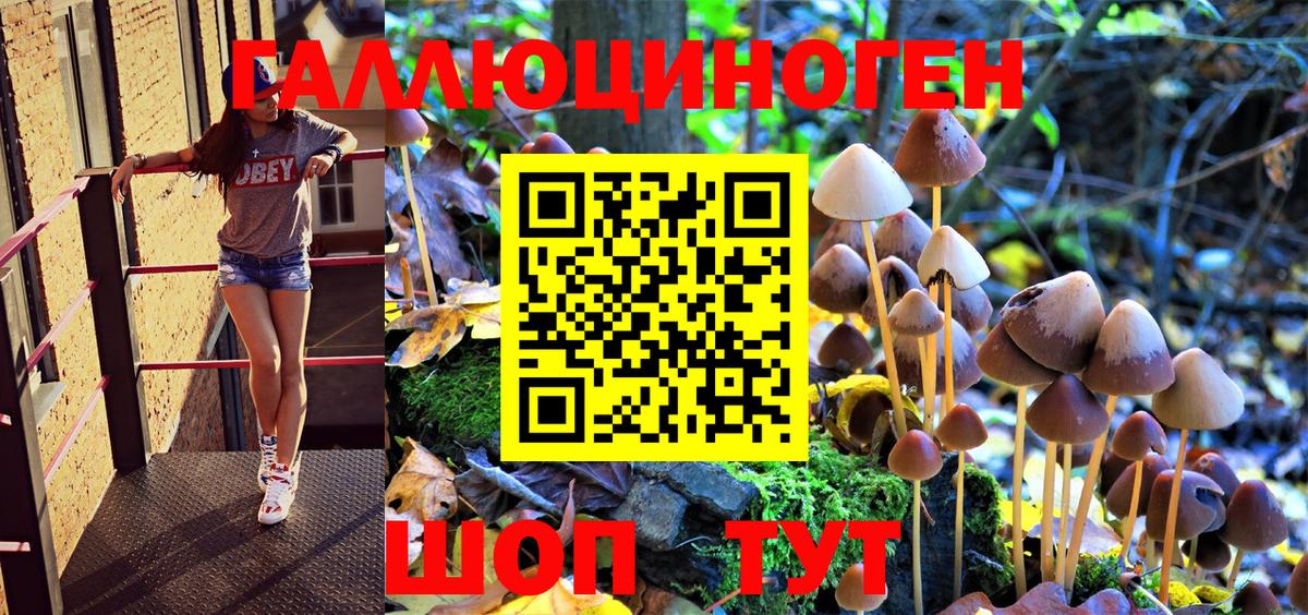 Псилоцибиновые грибы Psilocybe Мытищи